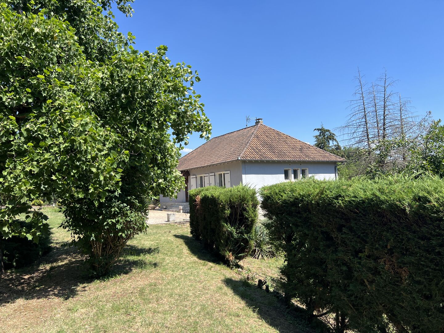 Dans le bourg de Thenon, avec l'ensemble des services et commerces à proximité, maison de 170 m² habitables avec sous-sol et garage sur 3196 m² de terrain arboré.