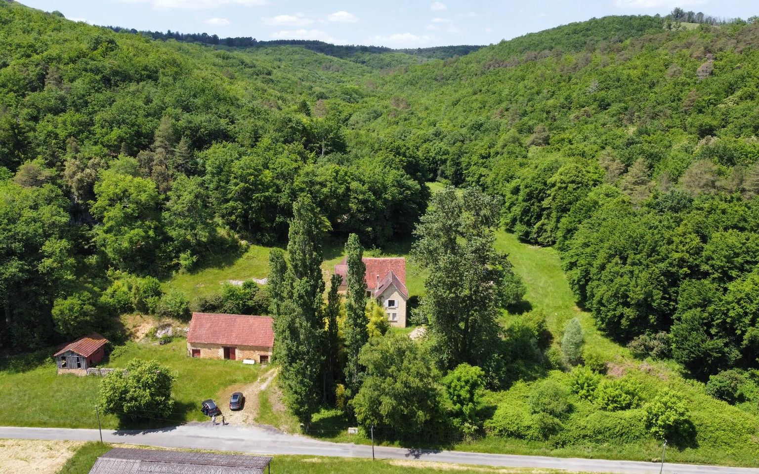 Belle propriété à rénover en Vallée Vézère, sur près de 4 hectares en nature de prairie et bois, avec plusieurs sources. Maison principale et dépendances. Très beau site.