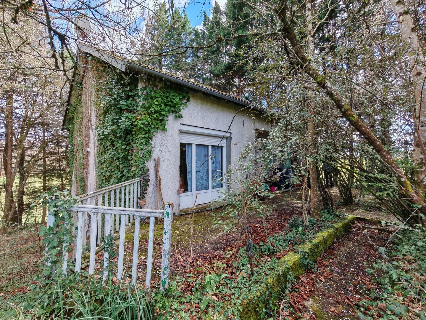 Maison des années 70 sans voisin et terrain boisé