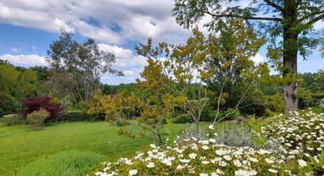 EXCLUSIVITE Secteur GOURDON - Charme et authenticité pour cette belle Propriété en pierre sur 1ha14 paysagers avec piscine