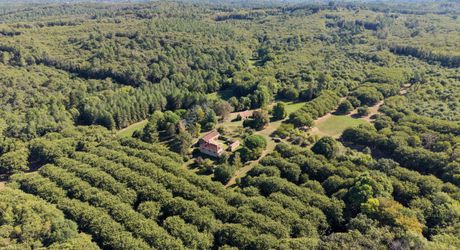 EXCLUSIVITE Secteur DOMME- Remarquable environnement de nature et cadre de vie privilégié pour cette belle Propriété de caractère sur 16ha6 boisés