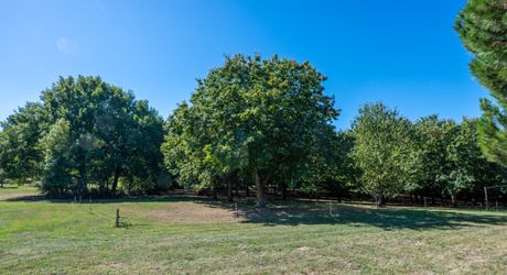 EXCLUSIVITE Secteur DOMME- Remarquable environnement de nature et cadre de vie privilégié pour cette belle Propriété de caractère sur 16ha6 boisés
