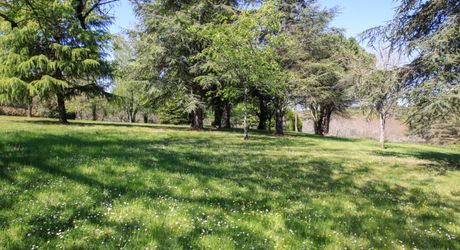 EXCLUSIVITE Secteur DOMME- Remarquable environnement de nature et cadre de vie privilégié pour cette belle Propriété de caractère sur 16ha6 boisés