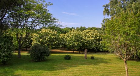 EXCLUSIVITE Secteur DOMME- Remarquable environnement de nature et cadre de vie privilégié pour cette belle Propriété de caractère sur 16ha6 boisés