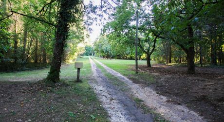 EXCLUSIVITE Secteur DOMME- Remarquable environnement de nature et cadre de vie privilégié pour cette belle Propriété de caractère sur 16ha6 boisés