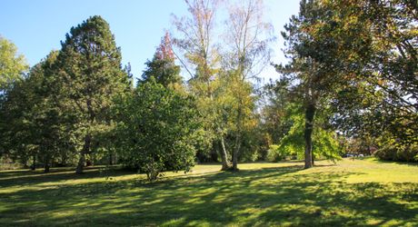 EXCLUSIVITE Secteur DOMME- Remarquable environnement de nature et cadre de vie privilégié pour cette belle Propriété de caractère sur 16ha6 boisés