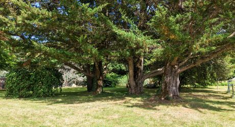 EXCLUSIVITE - Cadre de vie paisible pour cette belle et spacieuse Propriété sur 1ha7 paysagers