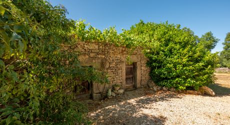 EXCLUSIVITE - Secteur Figeac - Ravissante Maison de charme en pierre restaurée sur 1002 m² avec jacuzzi 