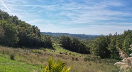 EXCLUSIVITE - Remarquable Propriété de charme avec vue imprenable sur 2ha72 avec piscine 