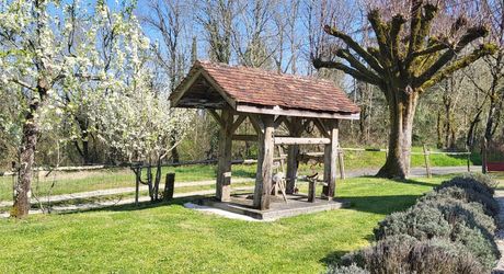 Secteur Gourdon - Belle propriété en pierre rénovée avec dépendances au calme sur 3260 m² arborés