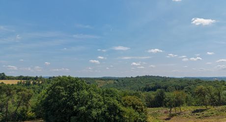 Exclusivité - Secteur Sarlat - Maison de plain pied avec piscine sur 1500 m2 arborés 
