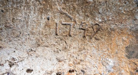 SECTEUR GOURDON - Charme et authenticité pour cet Ensemble en pierre sur 2ha60 avec vue panoramique