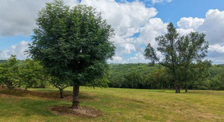 Secteur Coeur de causse - Belle vue pour cette Grande Maison ancienne rénovée sur 5000 m²