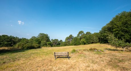 SECTEUR GOURDON - Spacieuse Propriété en pierre au calme sur 5ha46 de belle nature