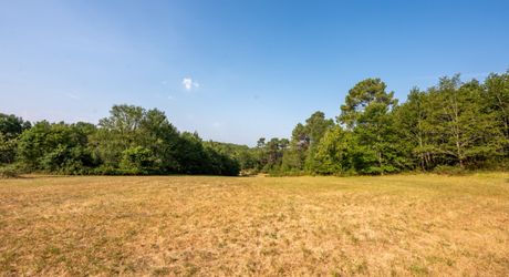 SECTEUR GOURDON - Spacieuse Propriété en pierre au calme sur 5ha46 de belle nature