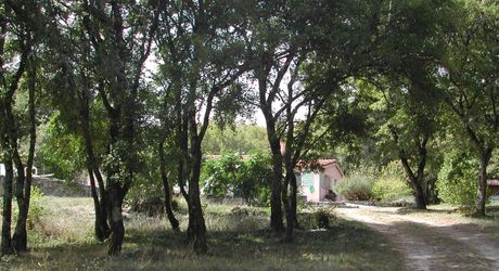 SECTEUR LIVERNON - Charmante maison contemporaine avec piscine
