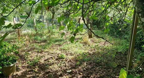 Ensemble en pierres à restaurer à une quinzaine de minutes de Figeac