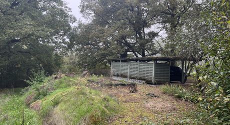 Propriété de caractère en pierre avec dépendances et piscine – SECTEUR LIVERNON