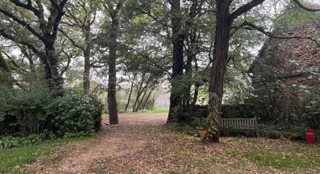 Propriété de caractère en pierre avec dépendances et piscine – SECTEUR LIVERNON