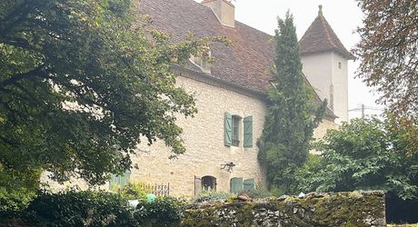 Propriété de caractère en pierre avec dépendances et piscine – SECTEUR LIVERNON