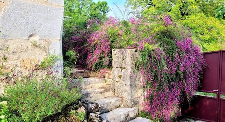 Splendide Propriété avec Chambres d’Hôtes – Secteur Lacapelle-Marival