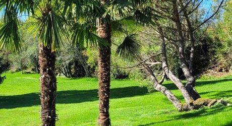 Splendide Propriété avec Chambres d’Hôtes – Secteur Lacapelle-Marival