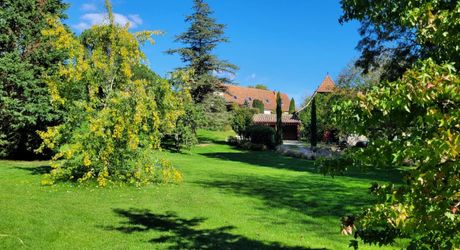 Splendide Propriété avec Chambres d’Hôtes – Secteur Lacapelle-Marival
