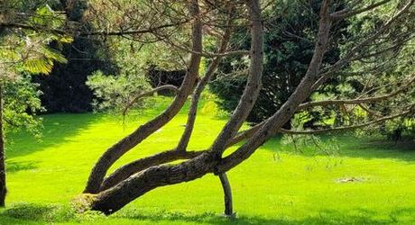 Splendide Propriété avec Chambres d’Hôtes – Secteur Lacapelle-Marival