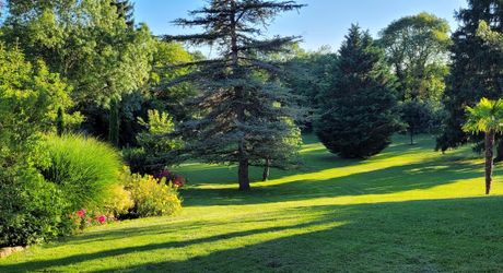 Splendide Propriété avec Chambres d’Hôtes – Secteur Lacapelle-Marival