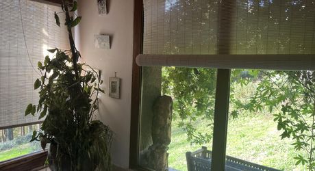 Maison et dépendances dans un cadre privilégié, loin des nuisances