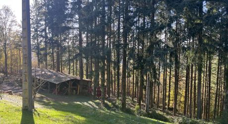 Maison et dépendances dans un cadre privilégié, loin des nuisances