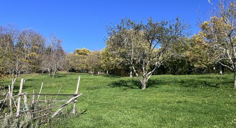 Maison et dépendances dans un cadre privilégié, loin des nuisances