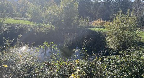 Maison et dépendances dans un cadre privilégié, loin des nuisances