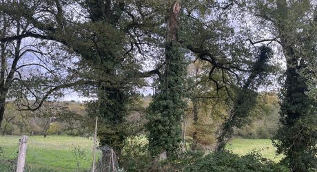 Superbe maison de village en pierre