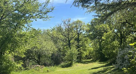 SECTEUR CAJARC - Maison de caractère en pierre avec garage, grand terrain, piscine et jacuzzi