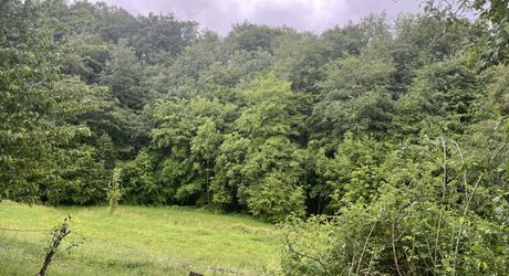 SECTEUR LACAPELLE-MARIVAL - Maison quercynoise de 205 m² avec piscine et terrain de 4.5 hectares