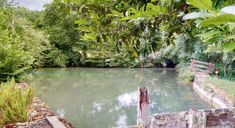 Superbe propriété sur plus d'un hectare de terrain avec maison, piscine, moulin et son bief. Situation préservée dans un environnement bucolique.