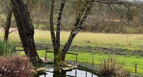 En Périgord noir, Unique, ancien moulin rénové avec aquarium intérieur.