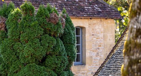 Superbe propriété de caractère avec vaste demeure, maison d'amis et piscine. Ensemble sur près d'un hectare de terrain clos.