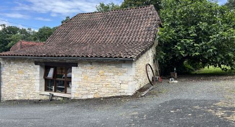 En Périgord Noir , entre Périgueux et Brive à 20 minutes de Montignac, propriété sur 3ha3 de terrain arboré avec une maison principale d'habitation, un gîte, une piscine et un petit étang. A voir!