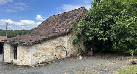 En Périgord Noir , entre Périgueux et Brive à 20 minutes de Montignac, propriété sur 3ha3 de terrain arboré avec une maison principale d'habitation, un gîte, une piscine et un petit étang. A voir!