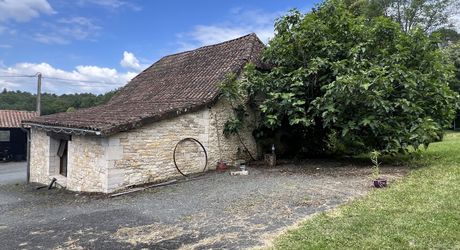 En Périgord Noir , entre Périgueux et Brive à 20 minutes de Montignac, propriété sur 3ha3 de terrain arboré avec une maison principale d'habitation, un gîte, une piscine et un petit étang. A voir!