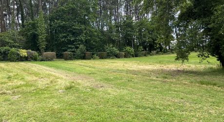 En Périgord Noir , entre Périgueux et Brive à 20 minutes de Montignac, propriété sur 3ha3 de terrain arboré avec une maison principale d'habitation, un gîte, une piscine et un petit étang. A voir!