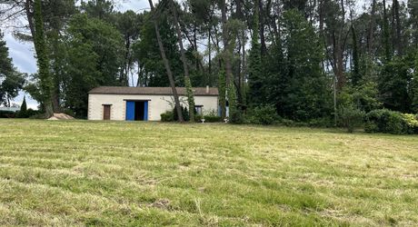 En Périgord Noir , entre Périgueux et Brive à 20 minutes de Montignac, propriété sur 3ha3 de terrain arboré avec une maison principale d'habitation, un gîte, une piscine et un petit étang. A voir!