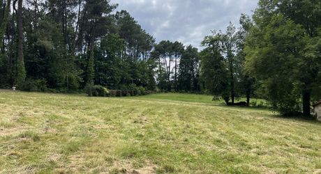 En Périgord Noir , entre Périgueux et Brive à 20 minutes de Montignac, propriété sur 3ha3 de terrain arboré avec une maison principale d'habitation, un gîte, une piscine et un petit étang. A voir!