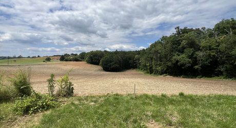 En Périgord Noir , entre Périgueux et Brive à 20 minutes de Montignac, propriété sur 3ha3 de terrain arboré avec une maison principale d'habitation, un gîte, une piscine et un petit étang. A voir!