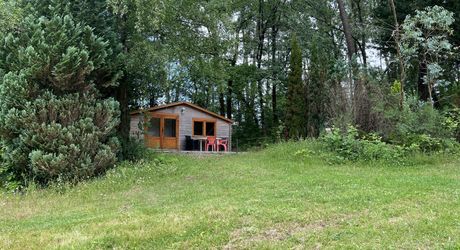 En Périgord Noir , entre Périgueux et Brive à 20 minutes de Montignac, propriété sur 3ha3 de terrain arboré avec une maison principale d'habitation, un gîte, une piscine et un petit étang. A voir!