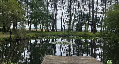 En Périgord Noir , entre Périgueux et Brive à 20 minutes de Montignac, propriété sur 3ha3 de terrain arboré avec une maison principale d'habitation, un gîte, une piscine et un petit étang. A voir!