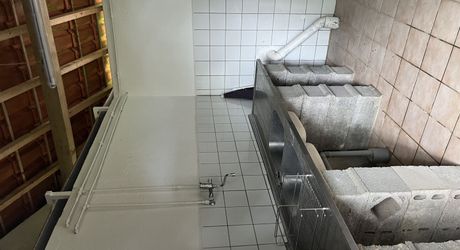 En Périgord Noir , entre Périgueux et Brive à 20 minutes de Montignac, propriété sur 3ha3 de terrain arboré avec une maison principale d'habitation, un gîte, une piscine et un petit étang. A voir!