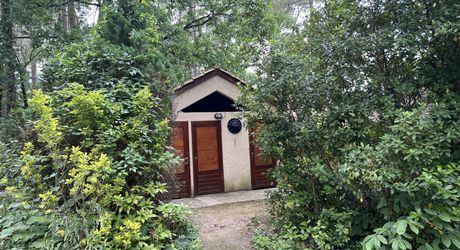 En Périgord Noir , entre Périgueux et Brive à 20 minutes de Montignac, propriété sur 3ha3 de terrain arboré avec une maison principale d'habitation, un gîte, une piscine et un petit étang. A voir!